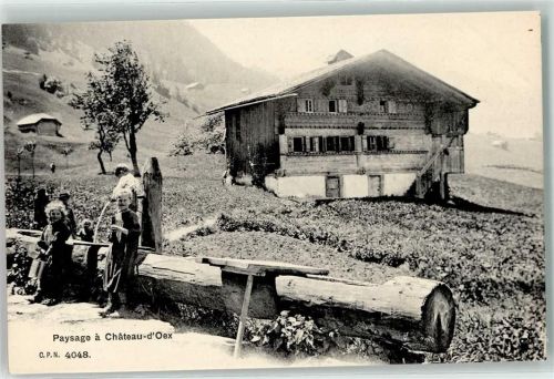 1660 Château-d´Oex - Paysage