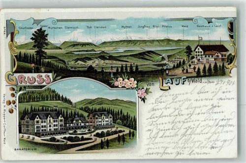 8636 Lauf Wald ZH 1901 Lithographie Sanatorium Gasthaus Zum Lauf
