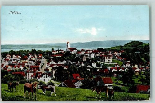 9410 Heiden 1909 - Kühe