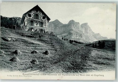 6390 Engelberg 1904 - Sommerwirtschaft Chalet-Alpenrose mit Rigidalstöcke auf Bord
