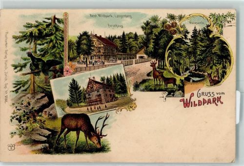 8000 Zürich 1901 Lithographie Wildpark Restaurant Wildpark Langenberg Forsthaus Waldpartie Hirsch Auerhahn Ort lt. Stempel
