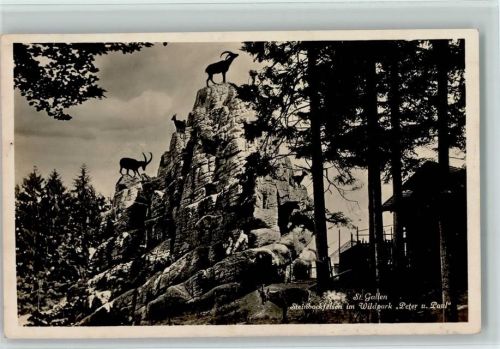9000 St. Gallen S. Gallo - Steinbockfelsen im Wildpark Peter und Paul