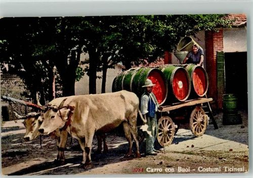 6927 Agra 1954 Foto AK Tracht Ochsenkarren Ort lt. Stempel