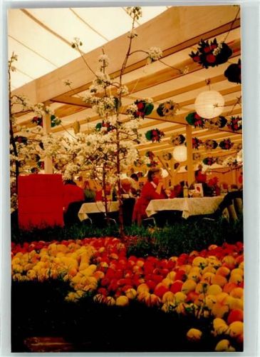 Bern Berne Bea Phila Schweiz 1998 Ganzsache