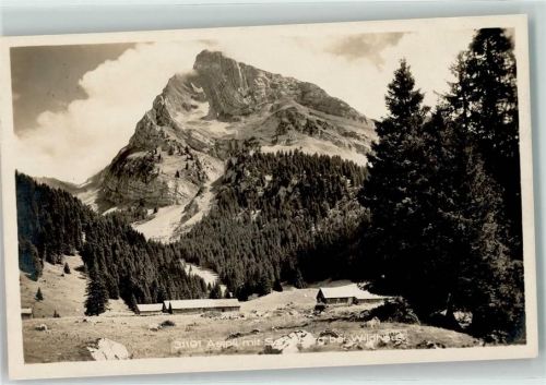 9658 Wildhaus - Aelpli