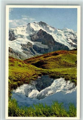 3823 Kleine Scheidegg - Alplandschaft mit Jungfrau