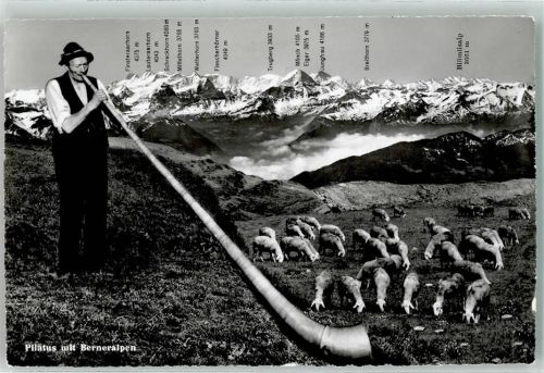 Alphornbläser in der Schweiz AK Alphorn Fotomontage AK