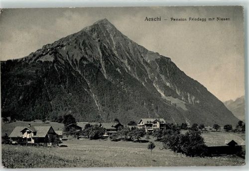 3703 Aeschi b. Spiez 1911 - Pension Friedegg mit Niesen
