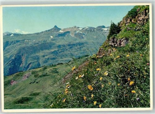 8898 Tannenboden Flumserberg - Spitzmeilen