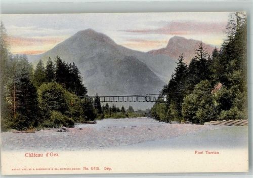 1660 Château-d´Oex Foto AK Pont Turrian