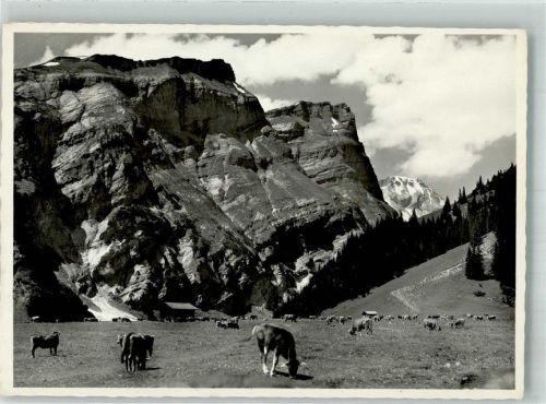 Flims 1965 Foto AK Bargis-Hochtal Flimserstein