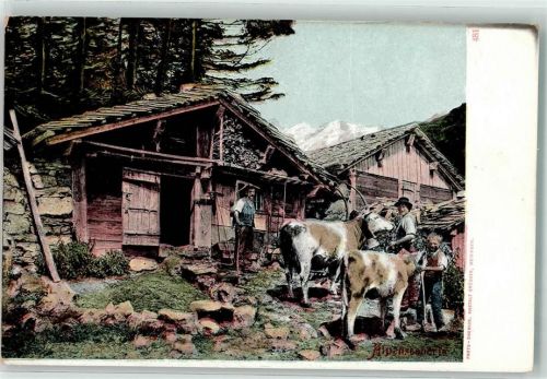 Auf der Alp Chalet mit Kühen