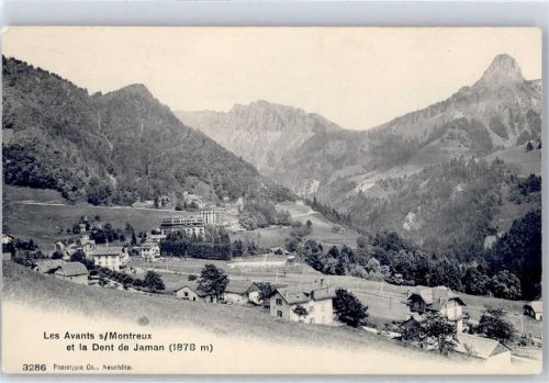 1833 Les Avants - AKU1