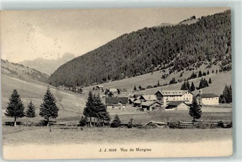 1875 Morgins 1917 - Stempel Militär 410