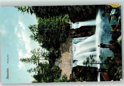 9650 Nesslau 1909 - Giesenfall