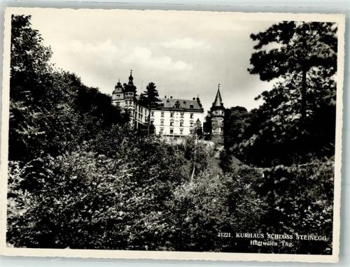 8536 Hüttwilen Foto AK Schloss Steinegg Kurhaus