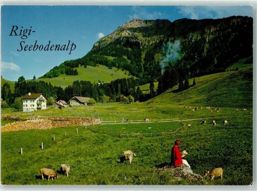 6403 Küssnacht am Rigi - Rigi Seebodenalp