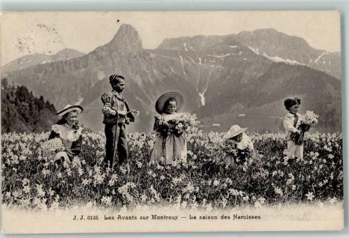 1833 Les Avants Gebrauchsspuren Kinder im Narzissenfeld