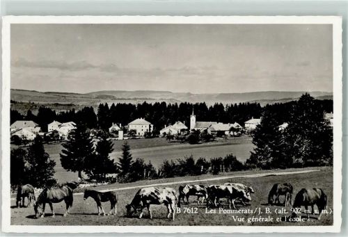 2353 Les Pommerats - Vue générale et l'ecole Pferde Kühe