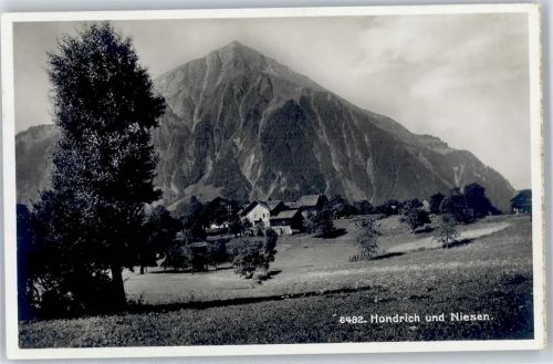 Niesen - hondrich