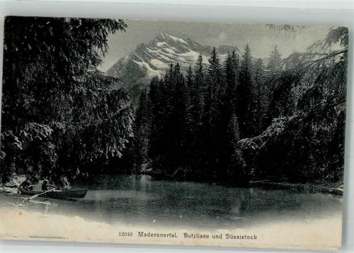 6474 Amsteg 1906 Foto AK Madaranertal Butzlisee Düssostock