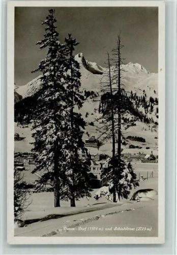 7260 Davos Dorf - Winter Bäume Schiahörner
