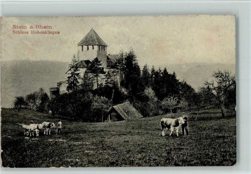 8260 Stein am Rhein 1908 Gebrauchsspuren Schloss Hohenklingen, Bauer mit Tiergespann, Eckknick
