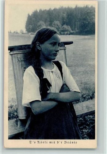 3000 Bern Berne - IX. Ausstellung für Landwirtschaft 1925 AK