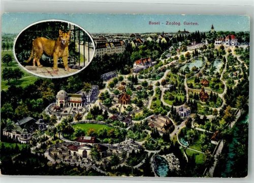 Basel Bâle Vogelschau Puma Zoo Künstlerkarte