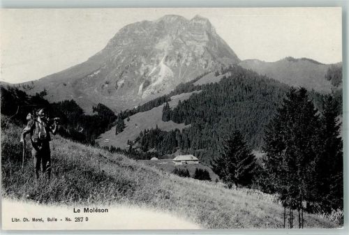 Le Moléson Les Paccots
