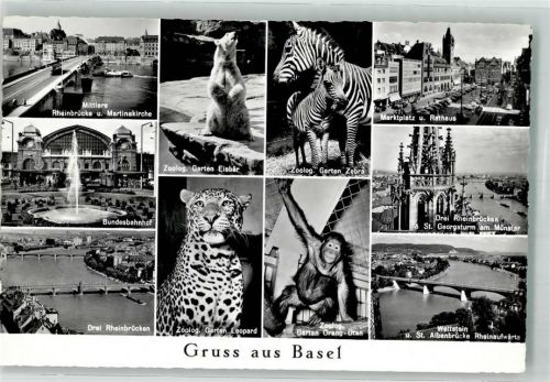 Basel Bâle Leopard Orang Utan Eisbär Zebra Bundesbahnhof Rathaus Zoo