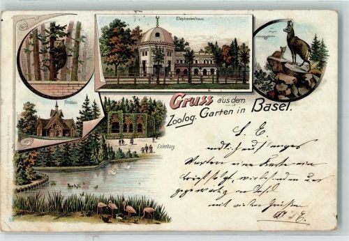 Basel Bâle Zoolog. Garten Braunbär Elefantenhaus Gämse Euelenburg Hirschhaus Flamingos Zoo 1899 Lithographie