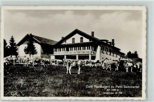 Petit Som Martel - Cafe Restaurant