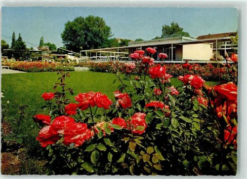 8000 Zürich - Int. Schweizer Gartenausstellung 1959 Rosen