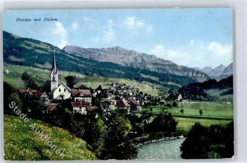 9650 Nesslau - Blick mit Dicken