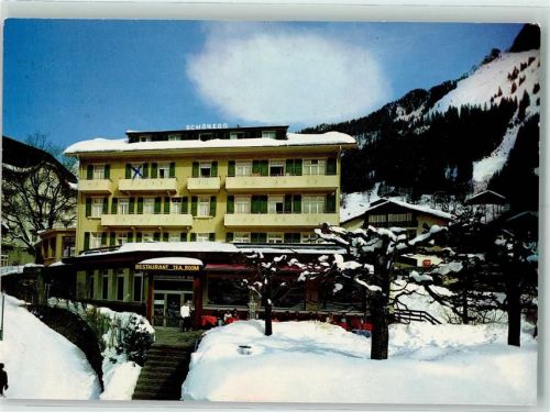 3823 Wengen - Hotel Schönegg Winter