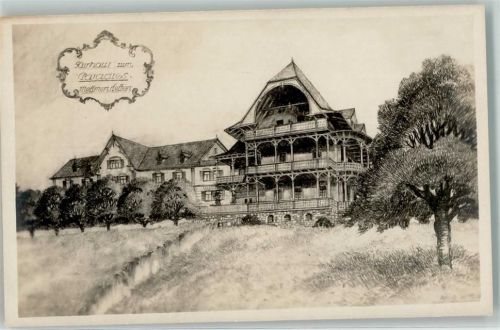 8932 Mettmenstetten Foto AK Kurhaus zum Paradies