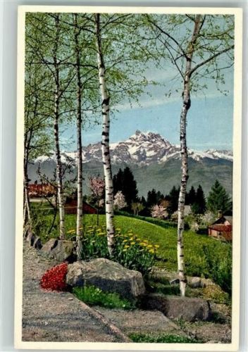 1884 Villars-sur-Ollon - Dent du Midi