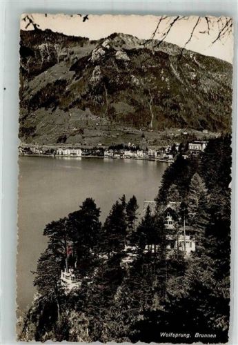 6440 Brunnen Foto AK Wolfsprung