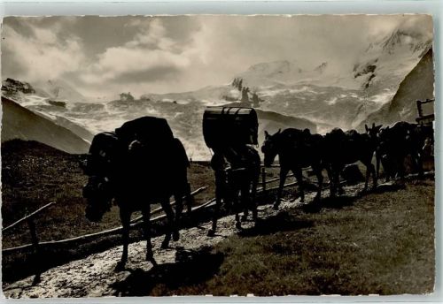 3906 Saas-Fee - Maultierpost