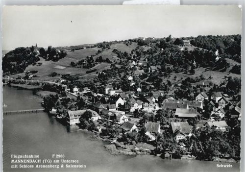 8268 Mannenbach-Salenstein Arenenberg - Luftaufnahme, See