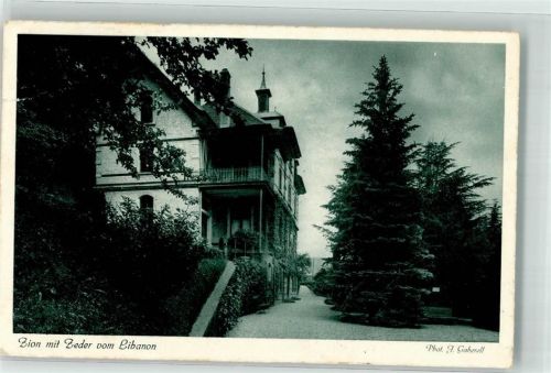 8487 Rämismühle Gebrauchsspuren Foto Gaberell Zion mit Zeder vom Libanon Asyl