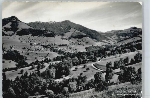 8638 Goldingen Hintergoldingen