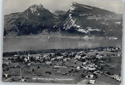 3700 Spiez - See Berg Fliegeraufnahme