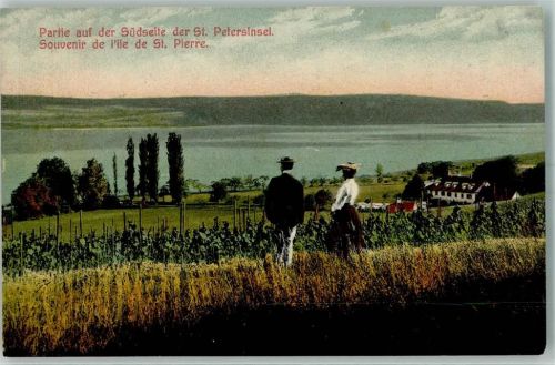 3235 St. Petersinsel Erlach - Partie auf der Südseite der St. Petersinsel