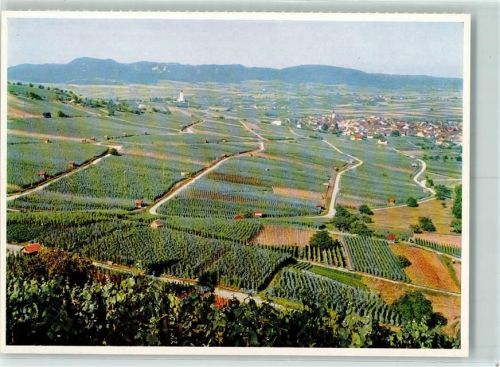 8215 Hallau 1959 - Blick auf Hallau und Randen Klettgau