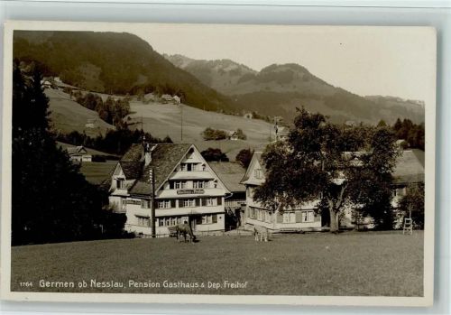 9650 Nesslau 1923 Foto AK Verlag Hans Gross 1764 , Germen - Pension Gasthaus & Dep. Freihof AK