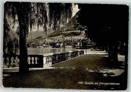 6374 Buochs 1960 Foto AK Vierwaldstättersee