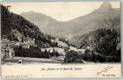 1833 Les Avants 1903 Gebrauchsspuren Dent de Jaman
