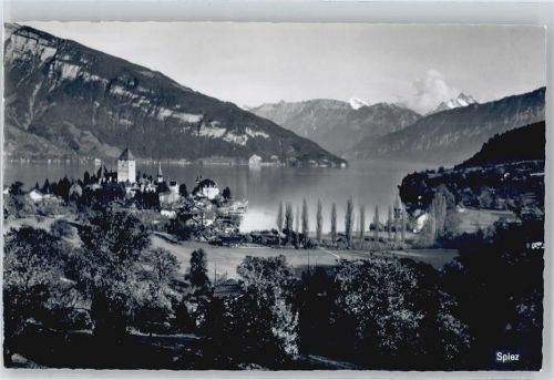 3700 Spiez - See Berg Haus Baum Wiese